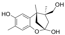 13-Hydroxy hitoyopodin A (3)