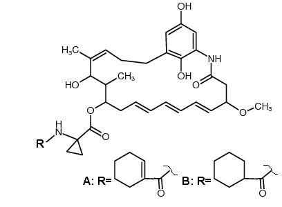 Cytotrienin