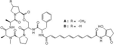 Enopeptin