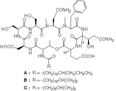 Lipopeptin