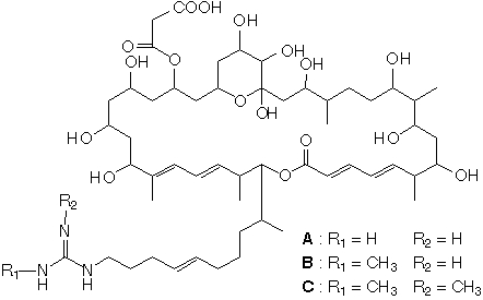 RS-22