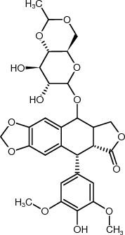 21063