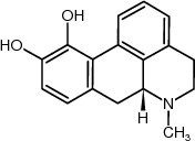 23261